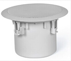 贝塔斯瑞BW6.2TG 带后罩型吸顶扬声器